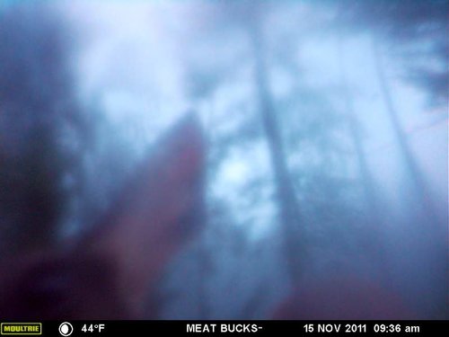 Secret Gate walkin area weyheuser summer 2018 022.jpg