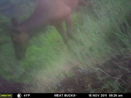 Secret Gate walkin area weyheuser summer 2018 007.jpg