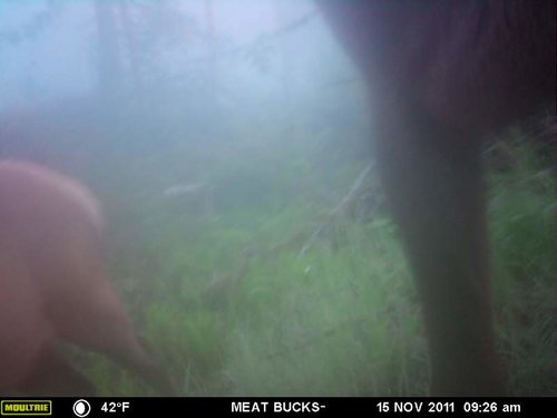 Secret Gate walkin area weyheuser summer 2018 013.jpg