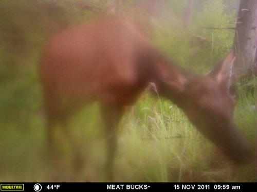 Secret Gate walkin area weyheuser summer 2018 024.jpg