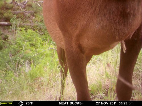 Secret Gate walkin area weyheuser summer 2018 044.jpg