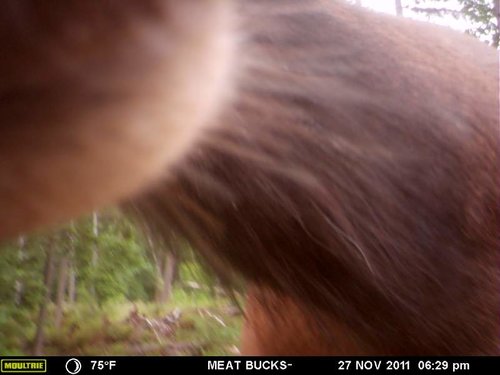 Secret Gate walkin area weyheuser summer 2018 045.jpg