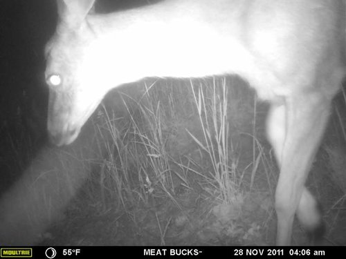 Secret Gate walkin area weyheuser summer 2018 060.jpg