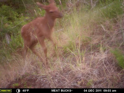 Secret Gate walkin area weyheuser summer 2018 070.jpg