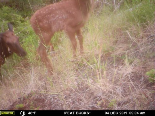 Secret Gate walkin area weyheuser summer 2018 078.jpg