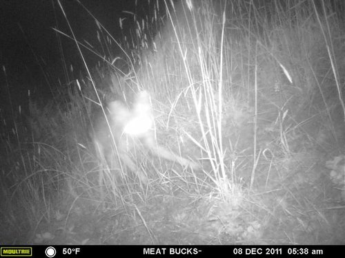 Secret Gate walkin area weyheuser summer 2018 085.jpg