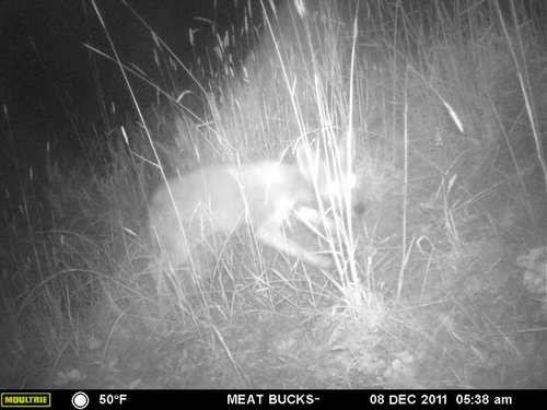 Secret Gate walkin area weyheuser summer 2018 086.jpg