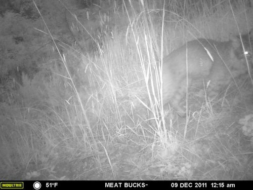 Secret Gate walkin area weyheuser summer 2018 088.jpg