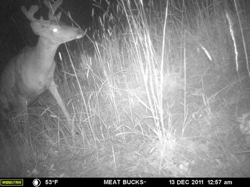 Secret Gate walkin area weyheuser summer 2018 089.jpg