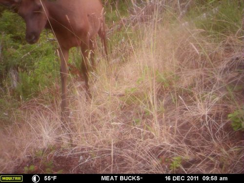 Secret Gate walkin area weyheuser summer 2018 128.jpg