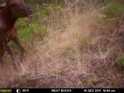 Secret Gate walkin area weyheuser summer 2018 139.jpg