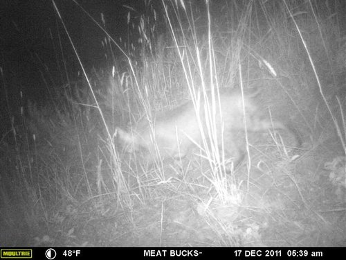 Secret Gate walkin area weyheuser summer 2018 142.jpg