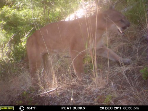 Secret Gate walkin area weyheuser summer 2018 144.jpg