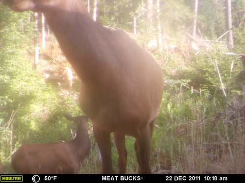 Secret Gate walkin area weyheuser summer 2018 151.jpg