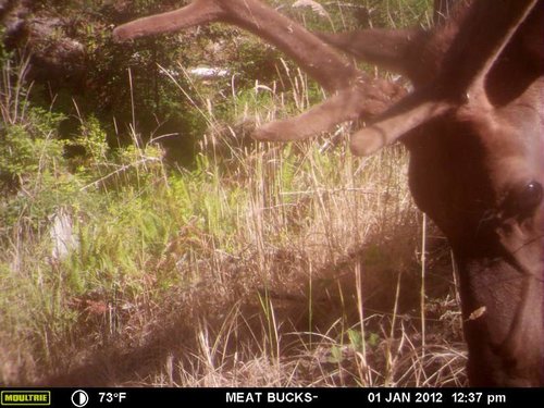 Secret Gate walkin area weyheuser summer 2018 162.jpg