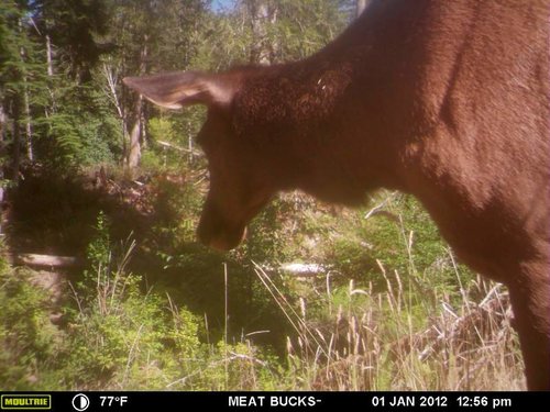 Secret Gate walkin area weyheuser summer 2018 170.jpg