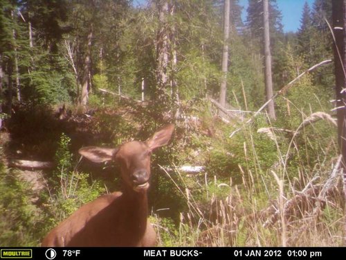 Secret Gate walkin area weyheuser summer 2018 171.jpg