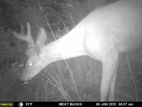 Secret Gate walkin area weyheuser summer 2018 212.jpg