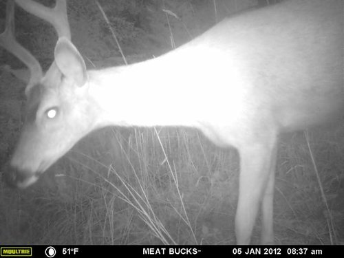 Secret Gate walkin area weyheuser summer 2018 213.jpg