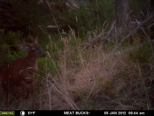 Secret Gate walkin area weyheuser summer 2018 218.jpg