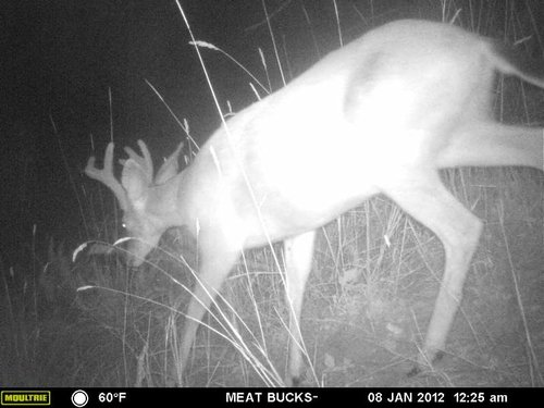 Secret Gate walkin area weyheuser summer 2018 219.jpg