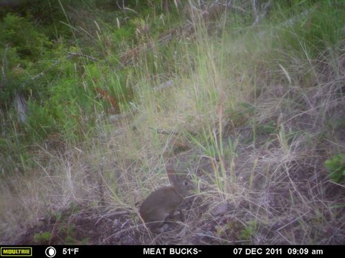 Secret Gate walkin area weyheuser summer 2018 081.jpg