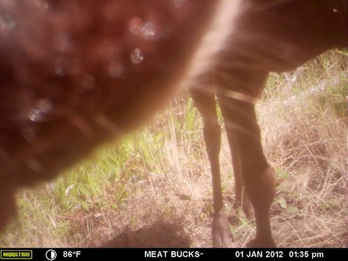 Secret Gate walkin area weyheuser summer 2018 197.jpg