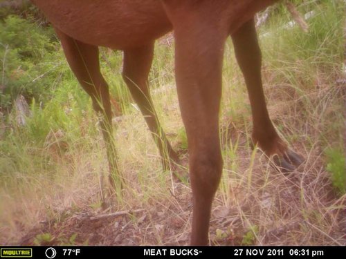 Secret Gate walkin area weyheuser summer 2018 054.jpg