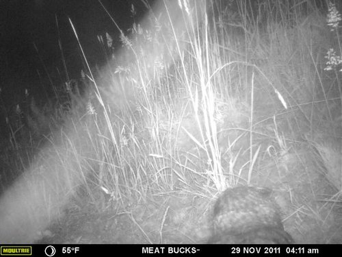 Secret Gate walkin area weyheuser summer 2018 068.jpg