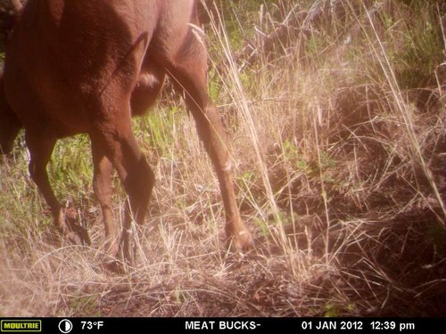 Secret Gate walkin area weyheuser summer 2018 163.jpg