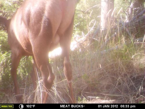 Secret Gate walkin area weyheuser summer 2018 202.jpg