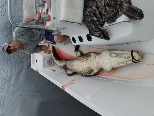 20180815_184044.jpg 20180815_184044.jpg
