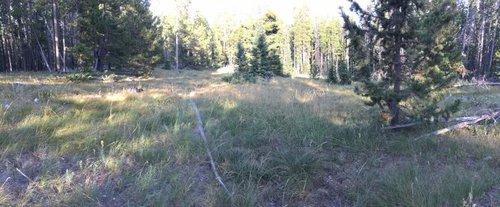 IMG_2243.jpg IMG_2243.jpg