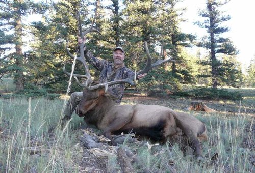 Big Bull 014 - Cropped.jpg Big Bull 014 - Cropped.jpg