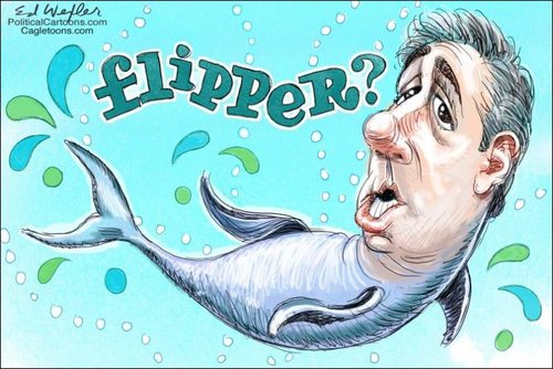 flipper.jpg