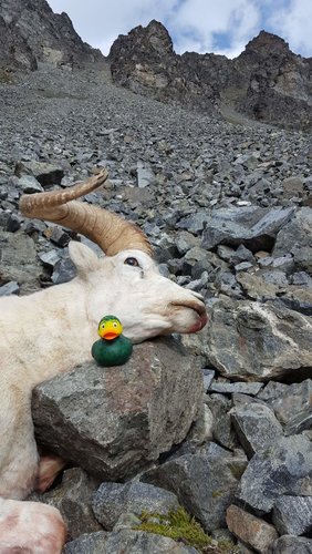 20180820_104414.jpg 20180820_104414.jpg