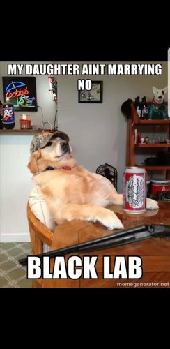 Screenshot_20180824-150116_Gallery.jpg Screenshot_20180824-150116_Gallery.jpg