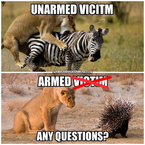 13466426_1762354717318121_319531884892962619_n.jpg 13466426_1762354717318121_319531884892962619_n.jpg