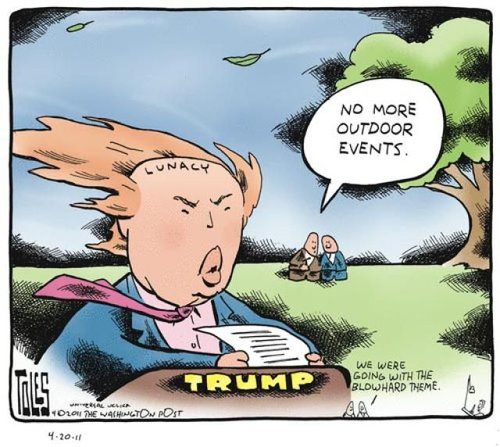 cb8c6613cf4cacb298ee602630b5bff6--donald-o'connor-donald-trump.jpg