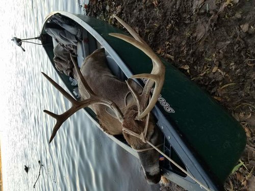 20161119_165956.jpg big buck (2).jpg