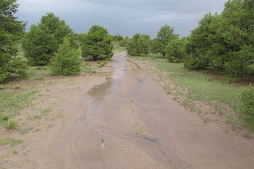 rain18 074.JPG