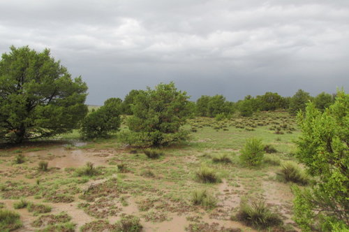 rain18 076.JPG
