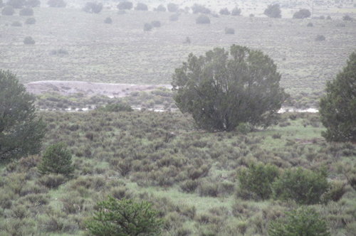rain18 078.JPG