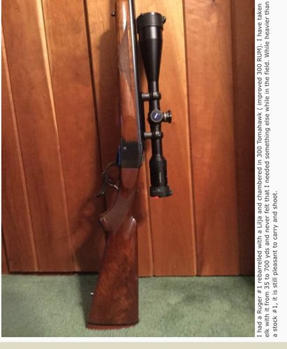 image.jpeg image.jpeg
