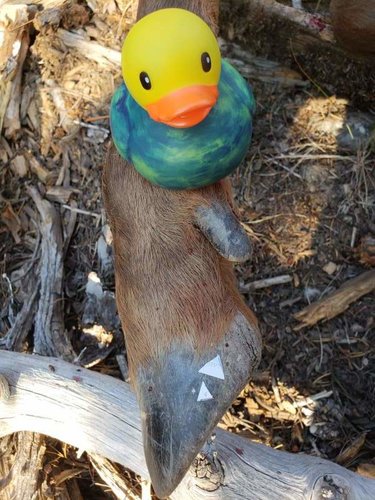 green decoy.jpg green decoy.jpg