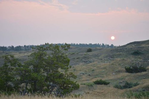 DSC_0447.jpg