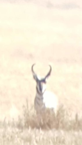 Screenshot_20180909-121211.jpg Screenshot_20180909-121211.jpg
