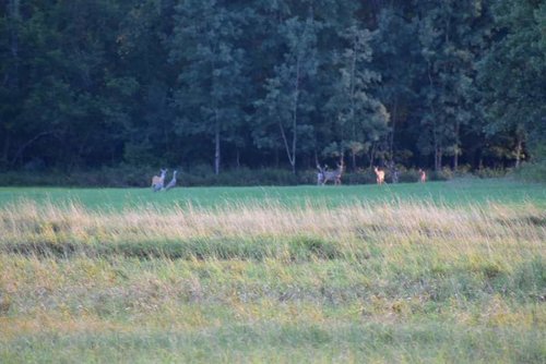 DSC_0011.jpg DSC_0011.jpg