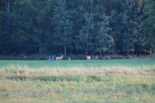 DSC_0018_1.jpg DSC_0018_1.jpg