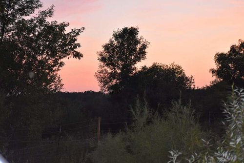 DSC_0081.jpg DSC_0081.jpg